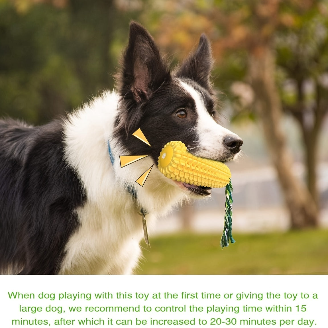 Dog Chew Toys, Tough Durable Squeaky Interactive Dog Toys.