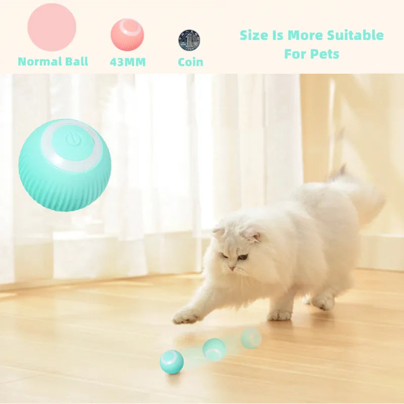 PetiPaw™ - Interactive Cat Toy Ball